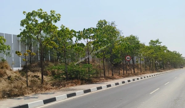 Beautifully planted trees lining the boundary wall near the Prestige Kollur Hyderabad site on March 03 , 2026, featuring a 20 km/h speed limit sign along the access road connecting to the Nehru Outer Ring Road.