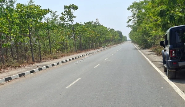 A wide, empty paved avenue with black and white curbs and a black SUV parked on the side, surrounded by dense trees in the location of Kollur, Hyderabad.