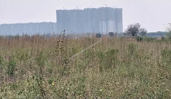 Distant view of high-rise structures from the Prestige Kollur site